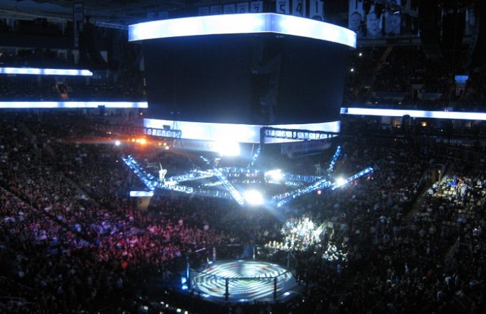 UFC Octagon Kai Kara-France Raulian Paiva UFC 234
