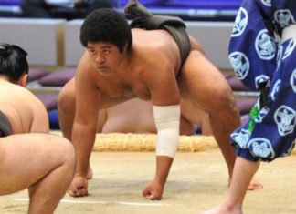 Sumo Ichiro Young