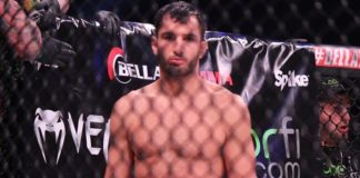 Gegard Mousasi, Bellator MMA