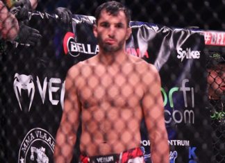 Gegard Mousasi, Bellator MMA