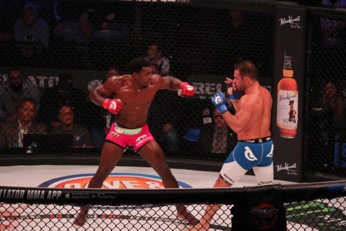 Phil Davis Bellator MMA