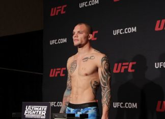 Anthony Smith UFC Stockholm