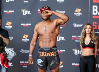 Paul Daley Bellator MMA