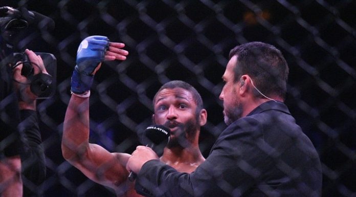 Mandel Nallo Bellator 207