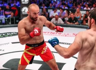 Alen Amedovski Bellator MMA