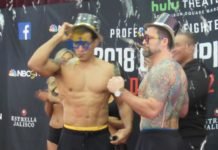 Vinny Magalhaes vs. Sean O'Connell