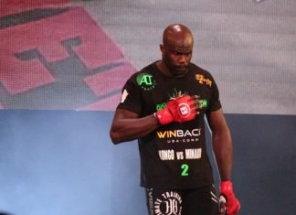 Cheick Kongo, Bellator MMA