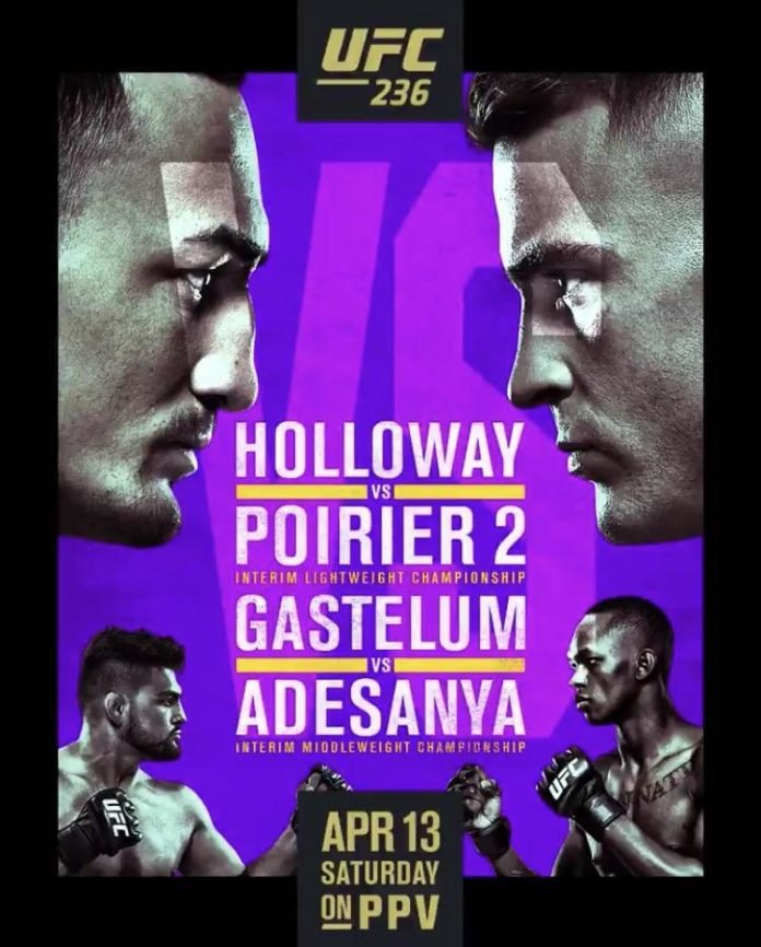 UFC 236