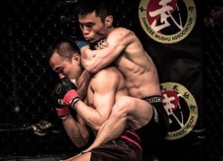 UFC Shenzhen Heili Alateng