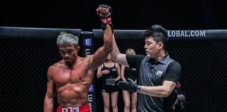 Yoshihiro Akiyama ONE Championship