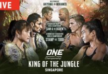 ONE Championship: King of the Jungle