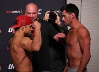 Henry Cejudo and Dominick Cruz, UFC 249