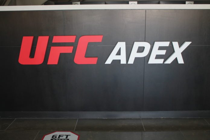 UFC Apex