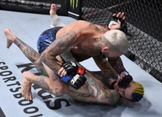 Marlon Vera and Sean O'Malley, UFC 252