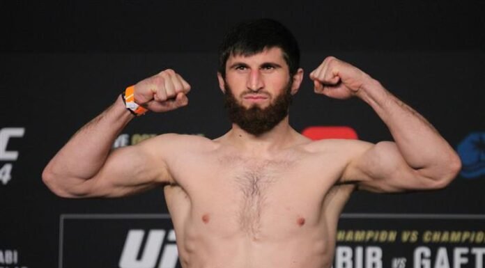 Magomed Ankalaev UFC