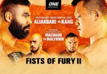 ONE Championship: Fists of Fury II