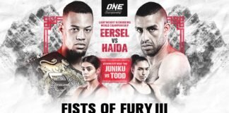 ONE Championship: Fists of Fury III