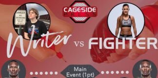 Writer vs Fighter UFC 259