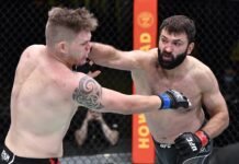 Chase Sherman and Andrei Arlovski, UFC Vegas 24