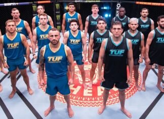 The Ultimate Fighter 29 (TUF 29)