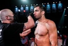 Gegard Mousasi Bellator