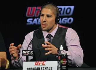 Brendan Schaub UFC