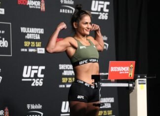Cynthia Calvillo, UFC