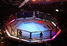 UFC arena octagon