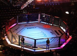 UFC arena octagon