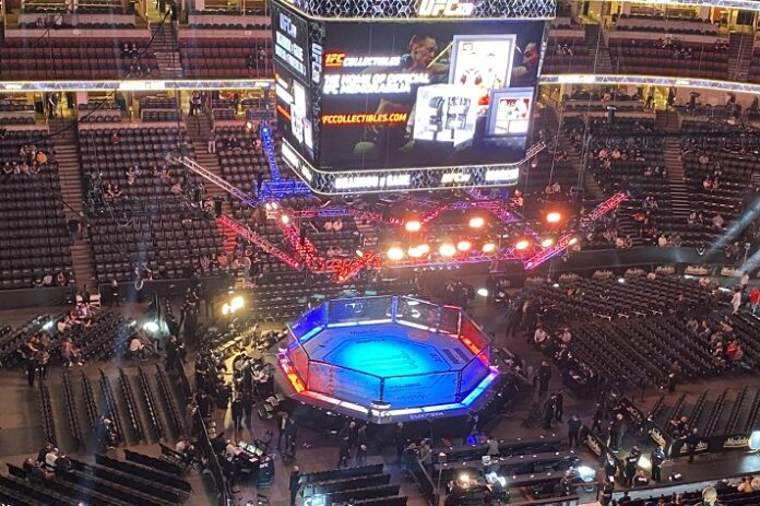 UFC 270 arena
