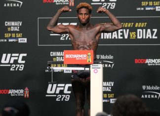 Hakeem Dawodu, UFC