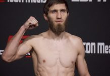 Said Nurmagomedov, UFC