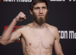 Said Nurmagomedov, UFC