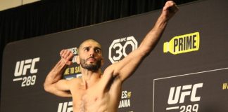 Aiemann Zahabi, UFC