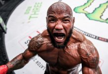 Yoel Romero, Bellator 285