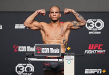 Bassil Hafez, UFC