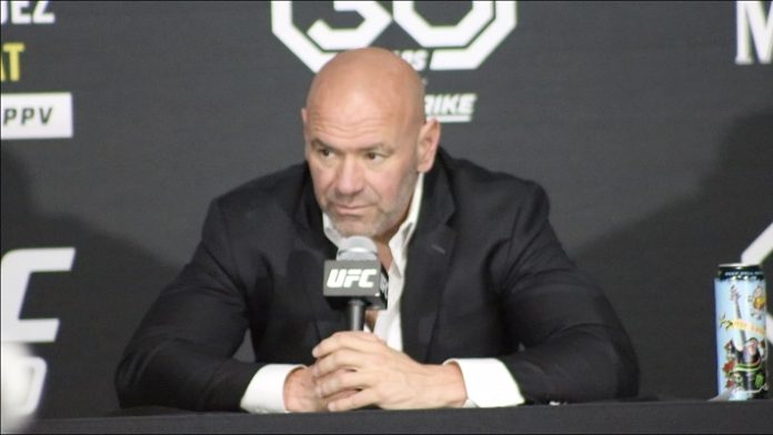 Dana White, UFC 290