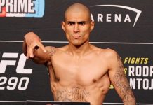 Edgar Chairez, UFC