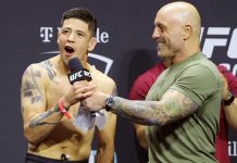 Brandon Moreno Meets Asu Almabayev in UFC Mexico City Headliner Brandon Moreno, UFC