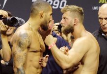 Vitor Petrino and Marcin Prachnio, UFC 290