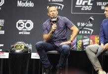 Georges St-Pierre, UFC