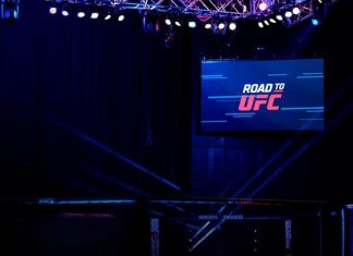 Road to UFC 2