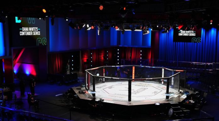 DWCS UFC Apex
