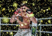 Thanh Le, ONE Fight Night 15