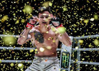 Thanh Le, ONE Fight Night 15