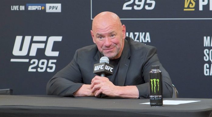 Dana White, UFC 295