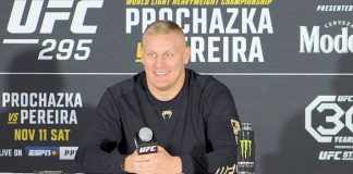 Sergei Pavlovich, UFC 295