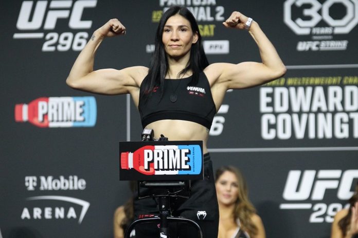 Irene Aldana, UFC