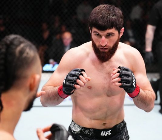 Magomed Ankalaev and Johnny Walker, UFC Vegas 84