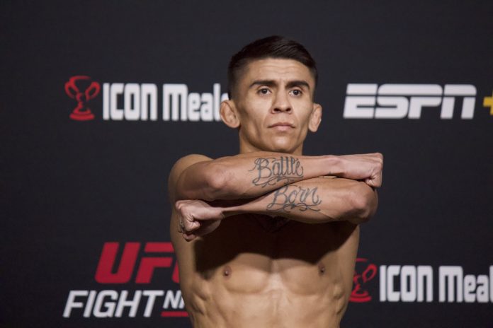 Mario Bautista, UFC